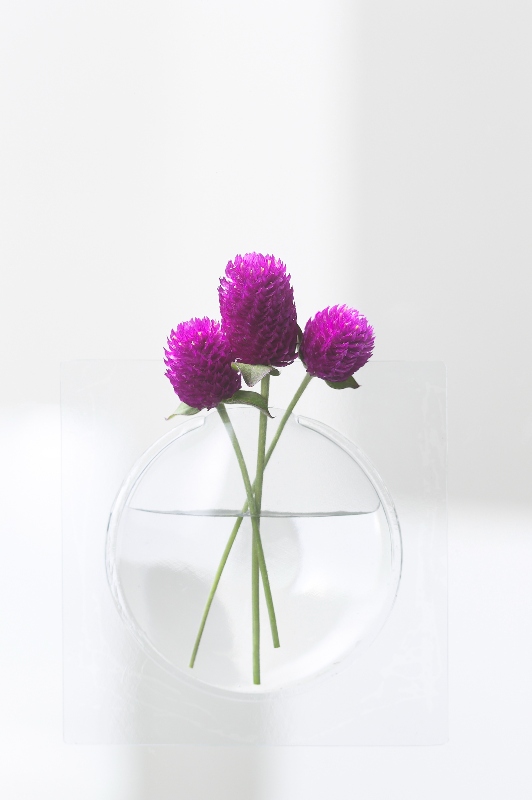 vaso da fiori per regalo